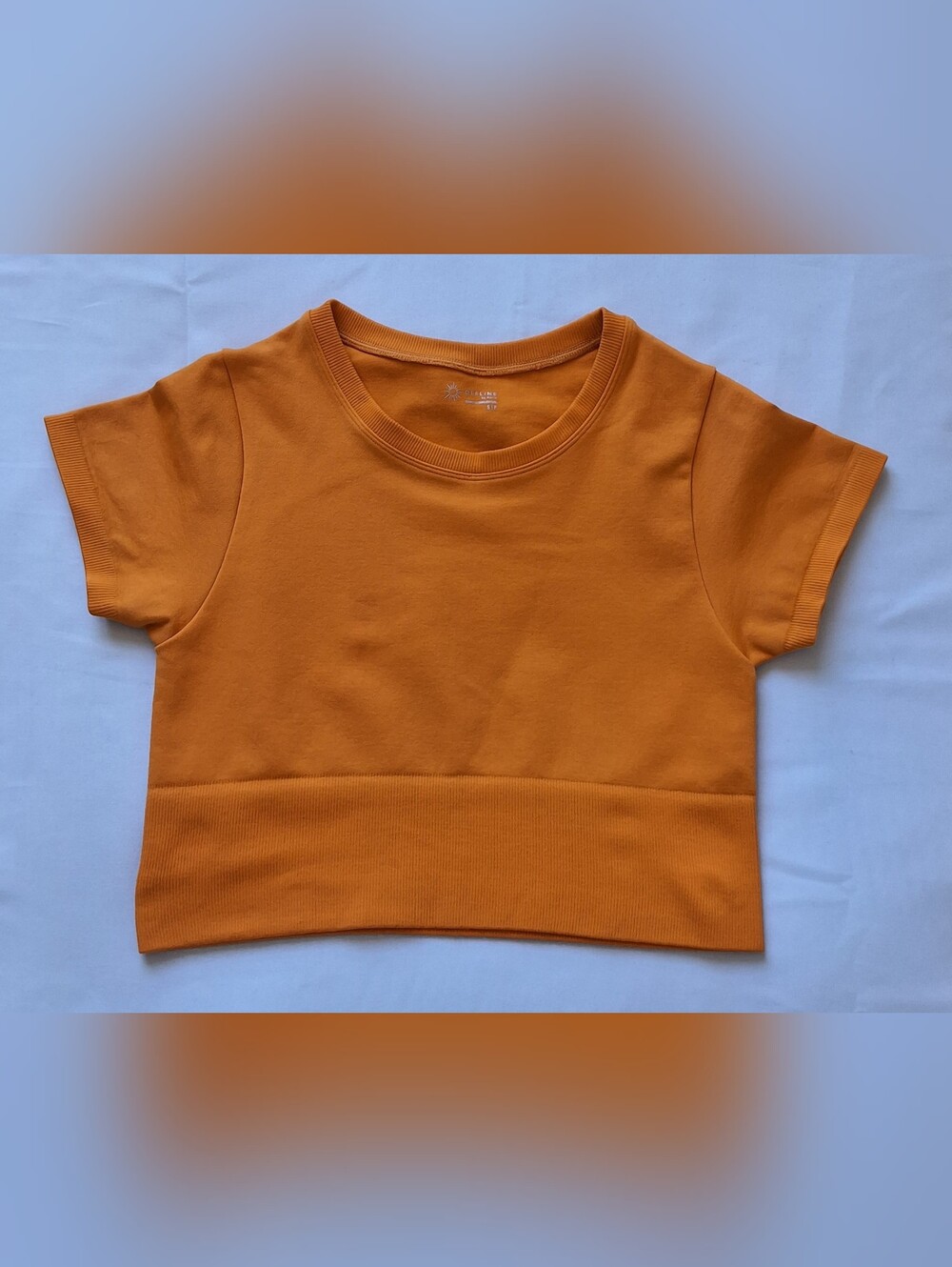 OFFLINE by Aerie Sidewalk Seamless Cropped T-Shirt Orange Size S